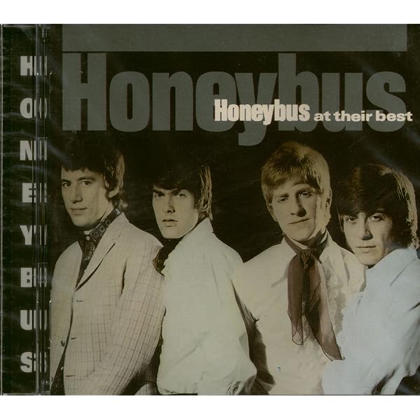 Amazon.com: Honeybus Story: CDs & Vinyl